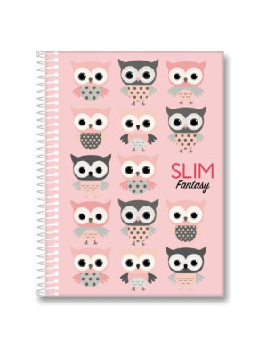 CADERNO 10X1 160 FOLHAS SLIM SORTIDO