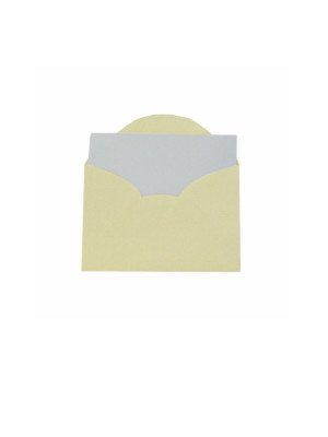 ENVELOPE VISITA C/CARTÃO, VERGÊ, 80GSM, ACOMPANHA 20 CARTÕES 180GS, EMBALAGEM EM PP 100% RECICLÁVEL, COR BERILO, FORMATO 80MM X 115MM