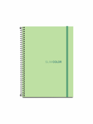 CADERNO COLEGIAL 80FL ESPIRAL CAPA PP VERDE