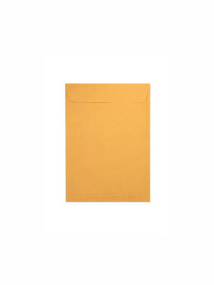 ENVELOPE SACO KRAFT OURO - 10 UNID. (176mm X 250mm)