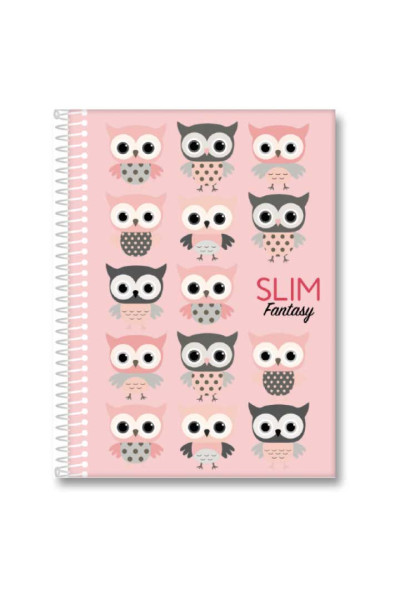 CADERNO 20X1 320 FOLHAS SLIM SORTIDO